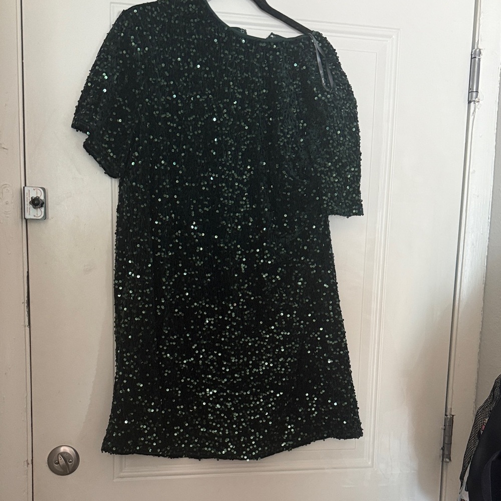 ARULA Sparkling Green Sequin Mini Dress